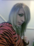 Steviebee