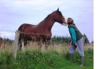 Redmoss