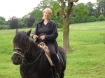 Pony