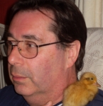 Nigel