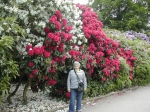 Shirley