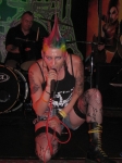 Pedagree Skum Punk